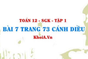 Bài 7 trang 73 Toán 12 tập 1 Cánh Diều
